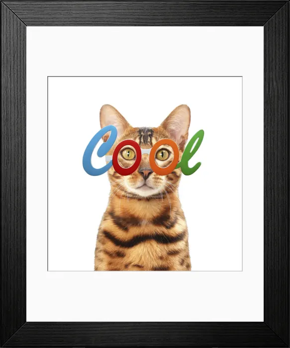 Framed Print : Picture No. 12010869 Framed Print : Picture No. 12010869