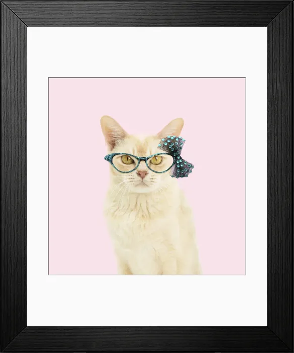 Framed Print : Picture No. 12010871