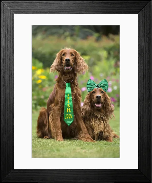 Framed Print : Picture No. 12010874 Framed Print : Picture No. 12010874