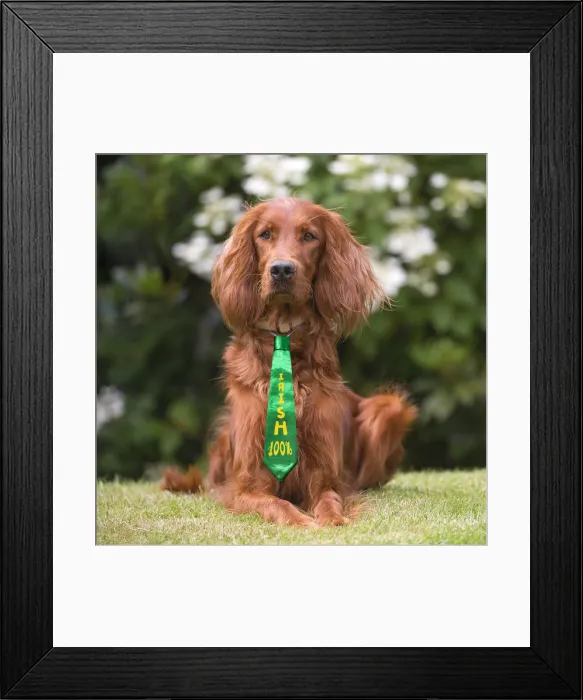Framed Print : Picture No. 12010875