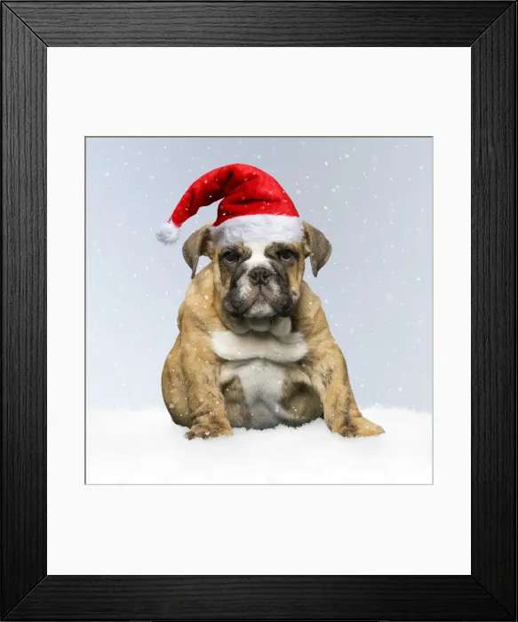 Framed Print : Picture No. 12010878