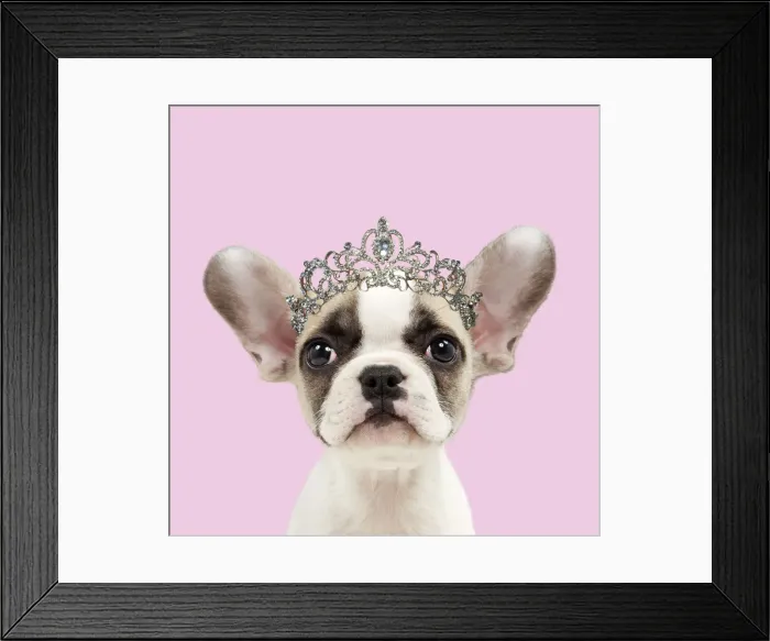 Framed Print : Picture No. 12010879