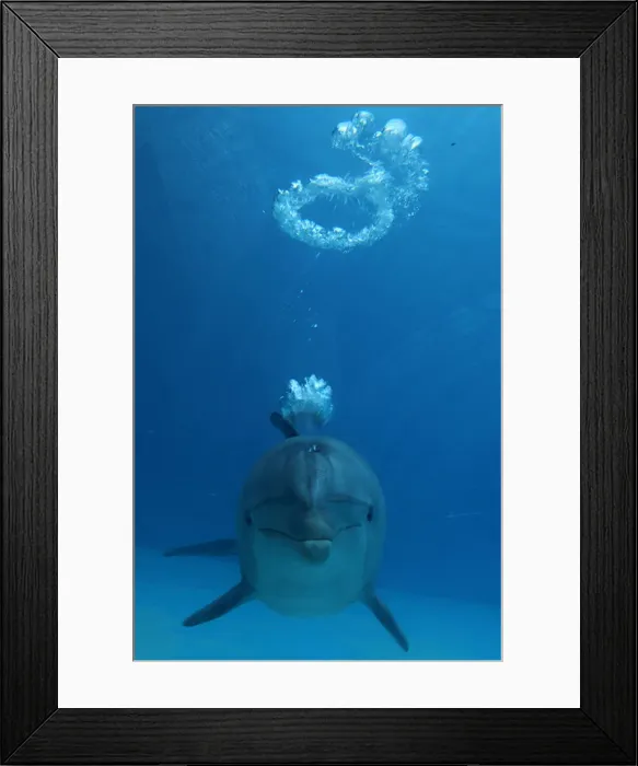 : Picture No. 12010822 : Picture No. 12010822