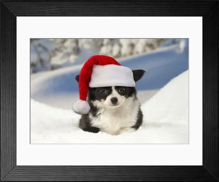 Framed Print : Picture No. 12010883 Framed Print : Picture No. 12010883