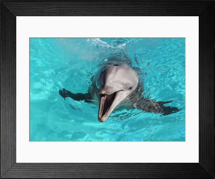Framed Print : Picture No. 12010830 Framed Print : Picture No. 12010830