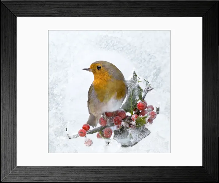 Framed Print : Picture No. 12020772 Framed Print : Picture No. 12020772