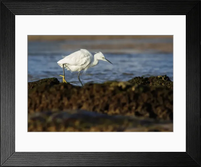 Framed Print : Picture No. 12018962 Framed Print : Picture No. 12018962