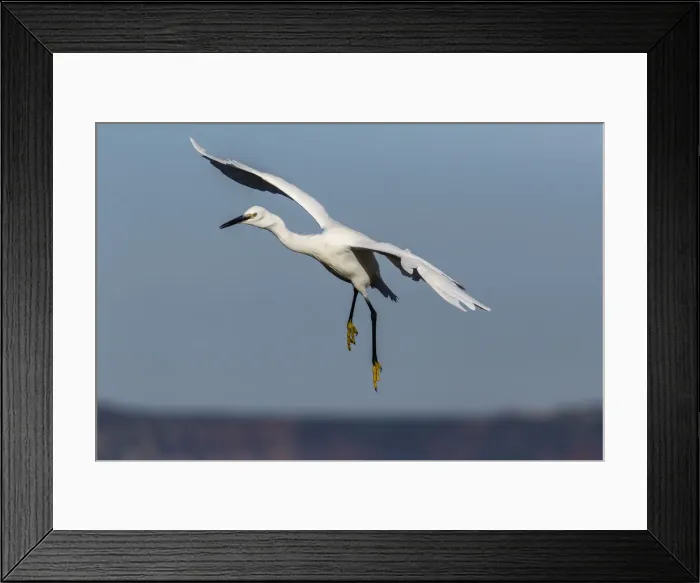 Framed Print : Picture No. 12018963 Framed Print : Picture No. 12018963