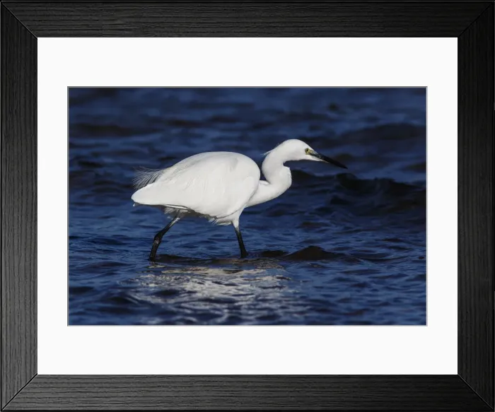 Framed Print : Picture No. 12018966 Framed Print : Picture No. 12018966