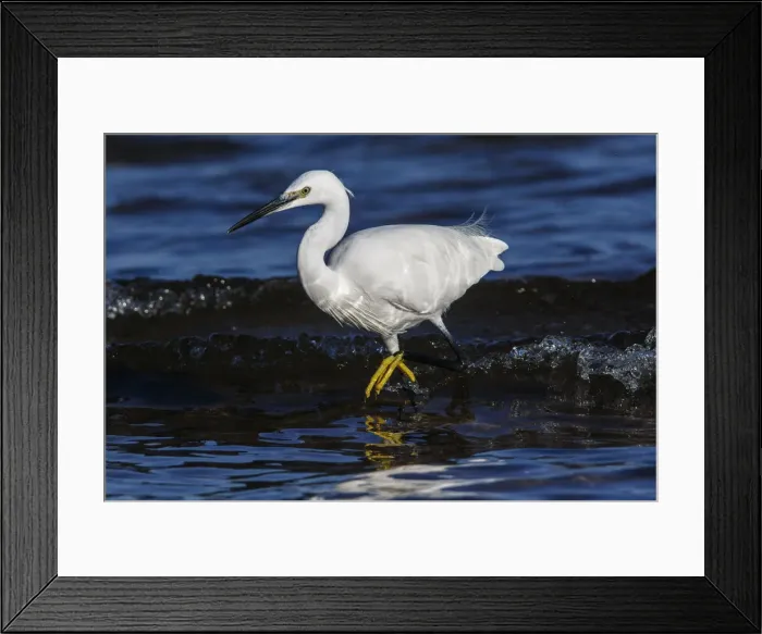 Framed Print : Picture No. 12018967 Framed Print : Picture No. 12018967