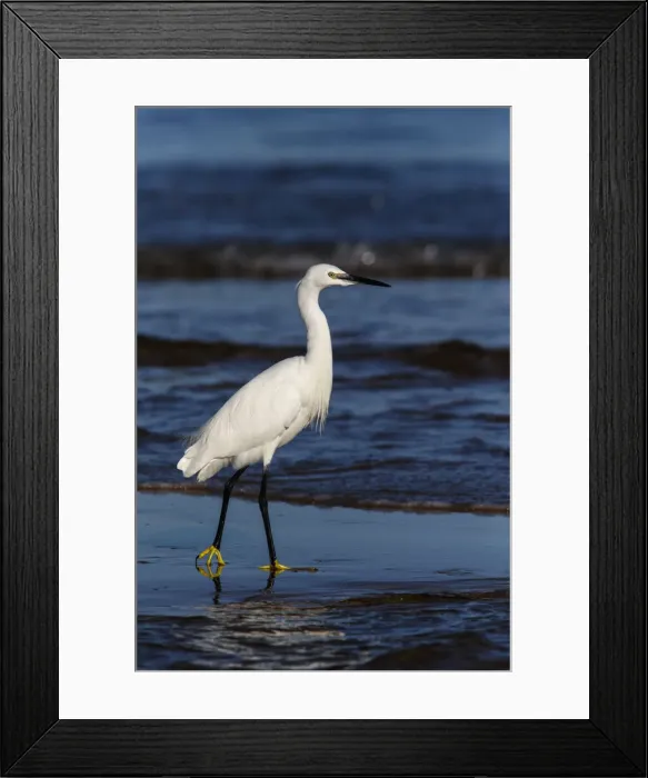 Framed Print : Picture No. 12018968 Framed Print : Picture No. 12018968