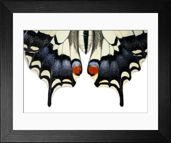 Framed Print : Picture No. 12018980 Framed Print : Picture No. 12018980