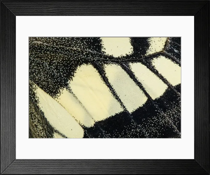 Framed Print : Picture No. 12018981 Framed Print : Picture No. 12018981