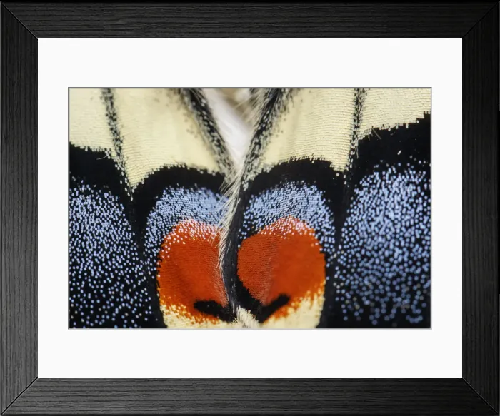 Framed Print : Picture No. 12018984 Framed Print : Picture No. 12018984