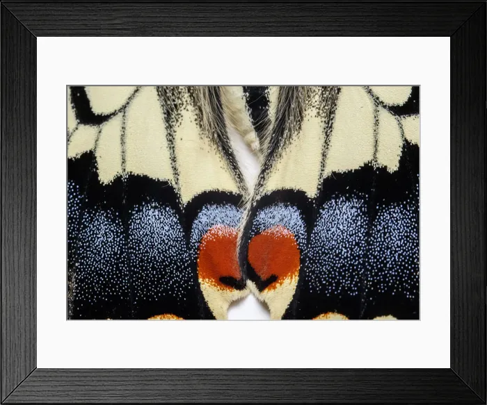 Framed Print : Picture No. 12018985 Framed Print : Picture No. 12018985