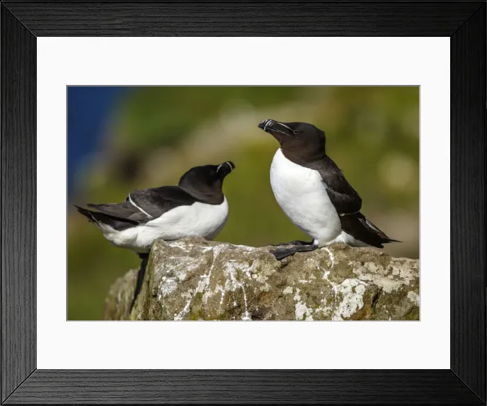 Framed Print : Picture No. 12018994 Framed Print : Picture No. 12018994