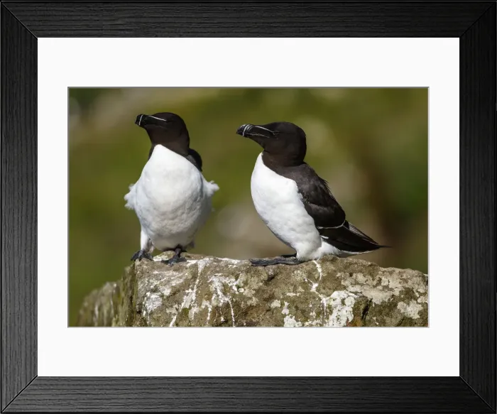 Framed Print : Picture No. 12018998 Framed Print : Picture No. 12018998
