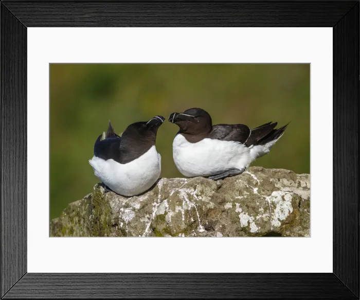 Framed Print : Picture No. 12018999 Framed Print : Picture No. 12018999