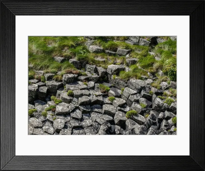 Framed Print : Picture No. 12019016 Framed Print : Picture No. 12019016