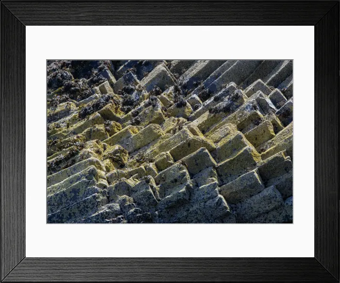 Framed Print : Picture No. 12019017 Framed Print : Picture No. 12019017