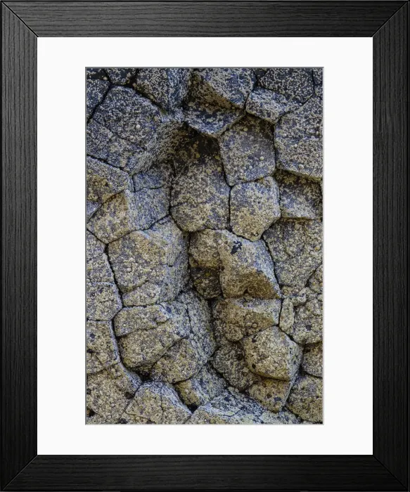 Framed Print : Picture No. 12019019 Framed Print : Picture No. 12019019