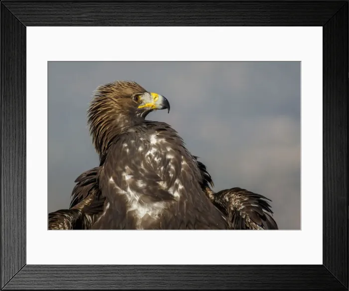 Framed Print : Picture No. 12019567 Framed Print : Picture No. 12019567