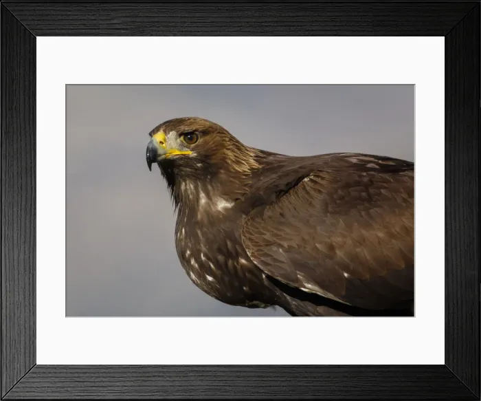 Framed Print : Picture No. 12019569 Framed Print : Picture No. 12019569