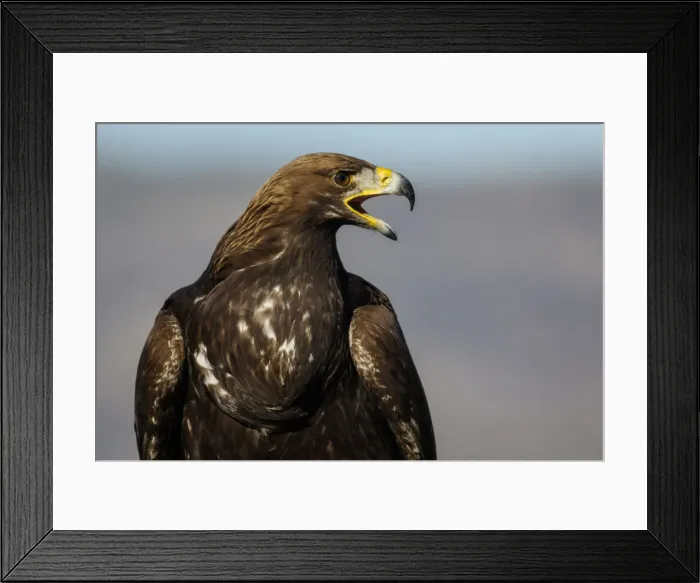 Framed Print : Picture No. 12019570 Framed Print : Picture No. 12019570