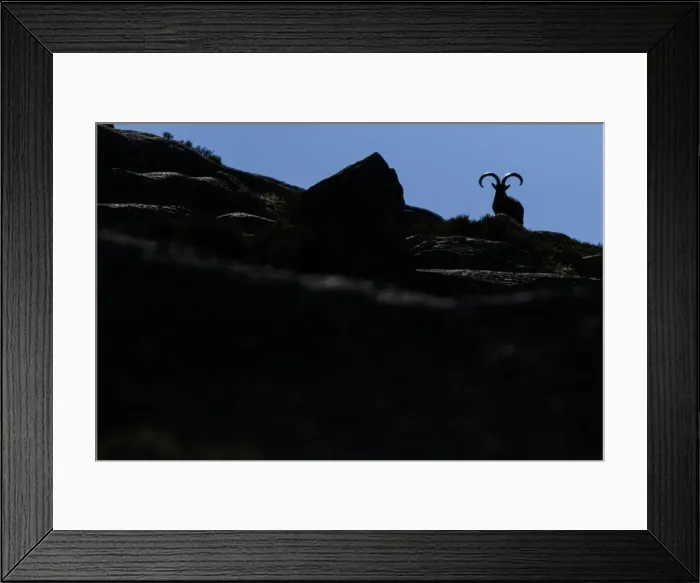 Framed Print : Picture No. 12019595 Framed Print : Picture No. 12019595