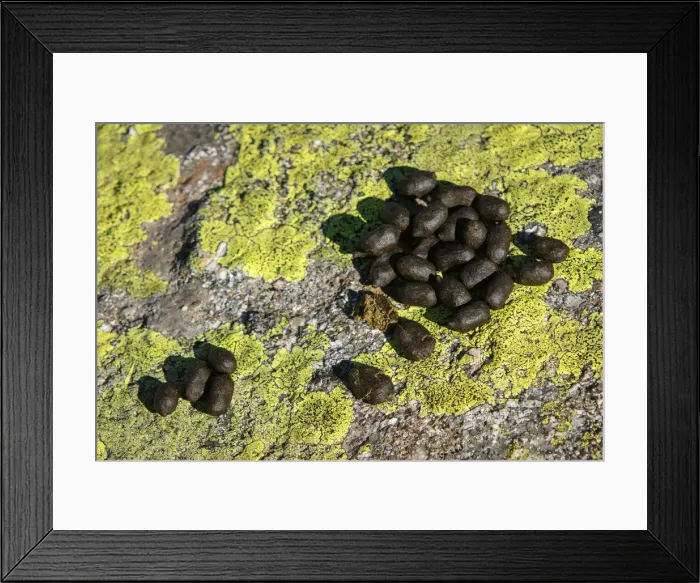 Framed Print : Picture No. 12019596 Framed Print : Picture No. 12019596