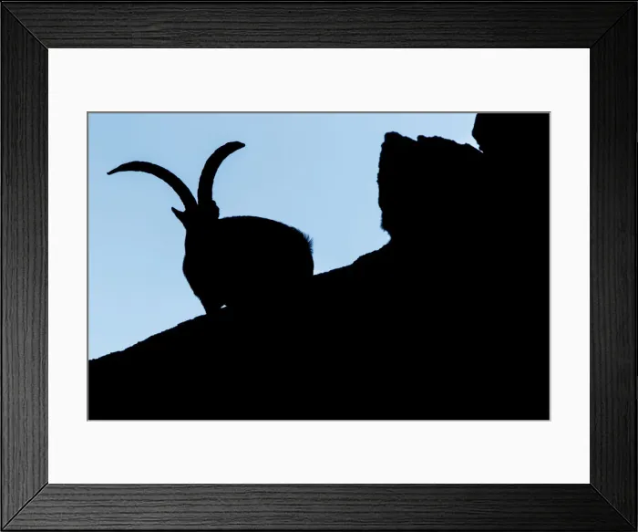 Framed Print : Picture No. 12019602 Framed Print : Picture No. 12019602