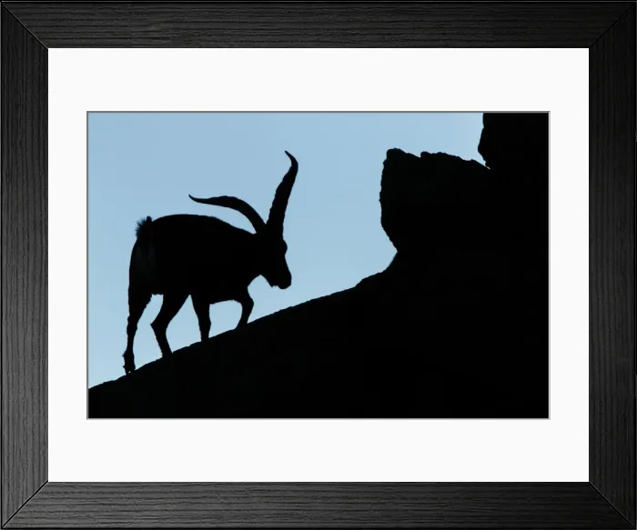 Framed Print : Picture No. 12019603 Framed Print : Picture No. 12019603
