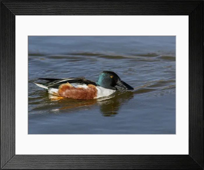 Framed Print : Picture No. 12019834 Framed Print : Picture No. 12019834