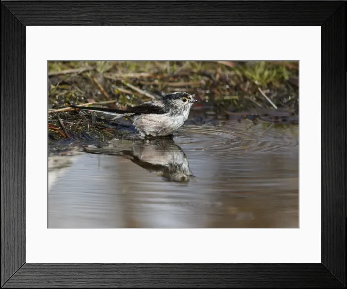Framed Print : Picture No. 12019851 Framed Print : Picture No. 12019851