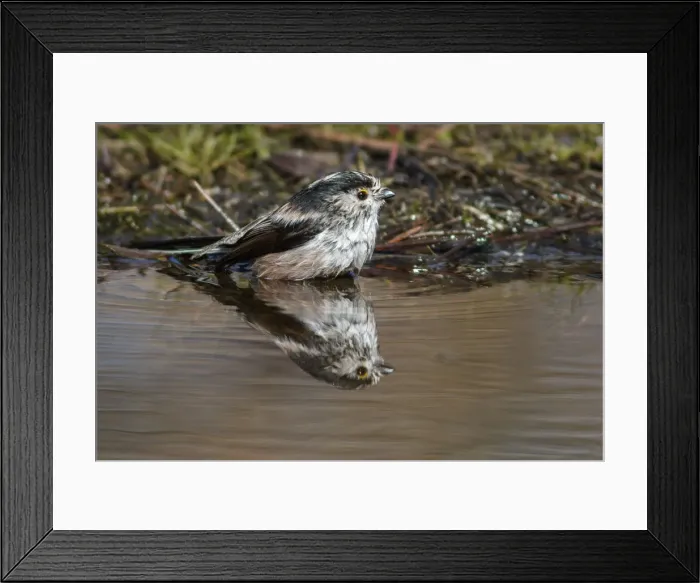Framed Print : Picture No. 12019852 Framed Print : Picture No. 12019852