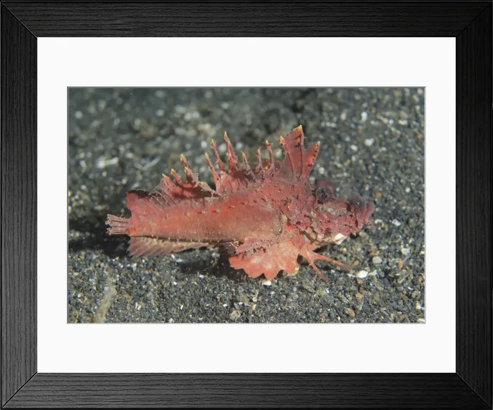Framed Print : Picture No. 12019785 Framed Print : Picture No. 12019785