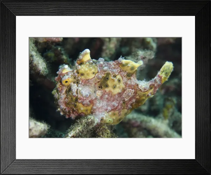 Framed Print : Picture No. 12019788 Framed Print : Picture No. 12019788