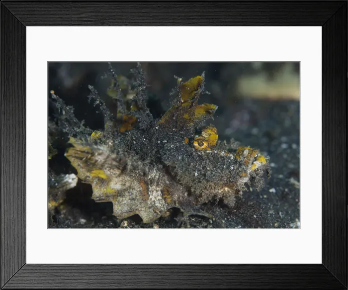 Framed Print : Picture No. 12019789 Framed Print : Picture No. 12019789