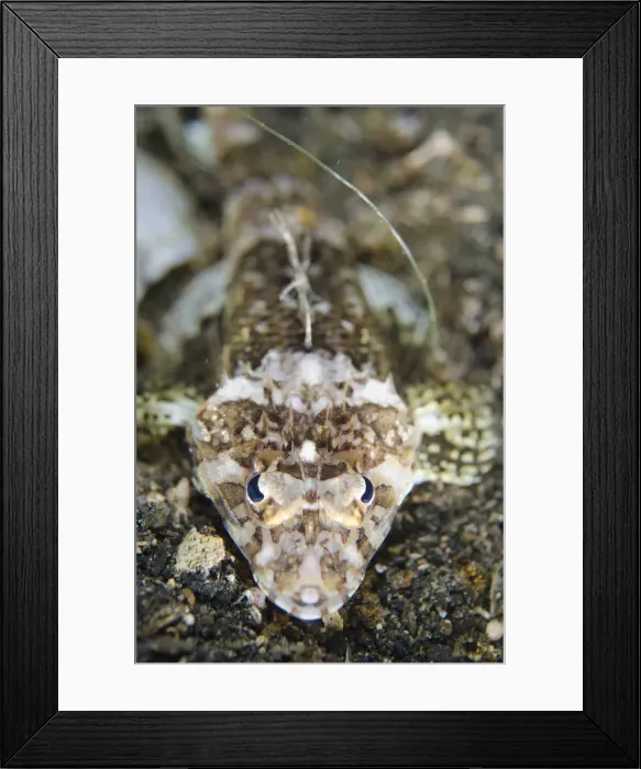Framed Print : Picture No. 12019793 Framed Print : Picture No. 12019793