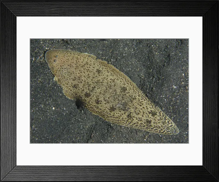Framed Print : Picture No. 12019799 Framed Print : Picture No. 12019799