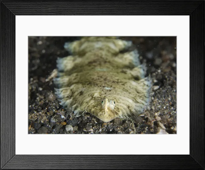Framed Print : Picture No. 12019803 Framed Print : Picture No. 12019803