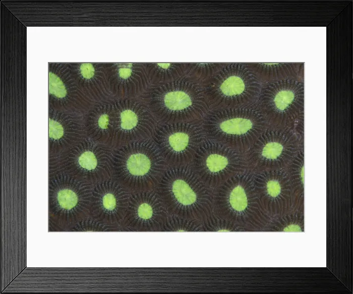 Framed Print : Picture No. 12019808 Framed Print : Picture No. 12019808