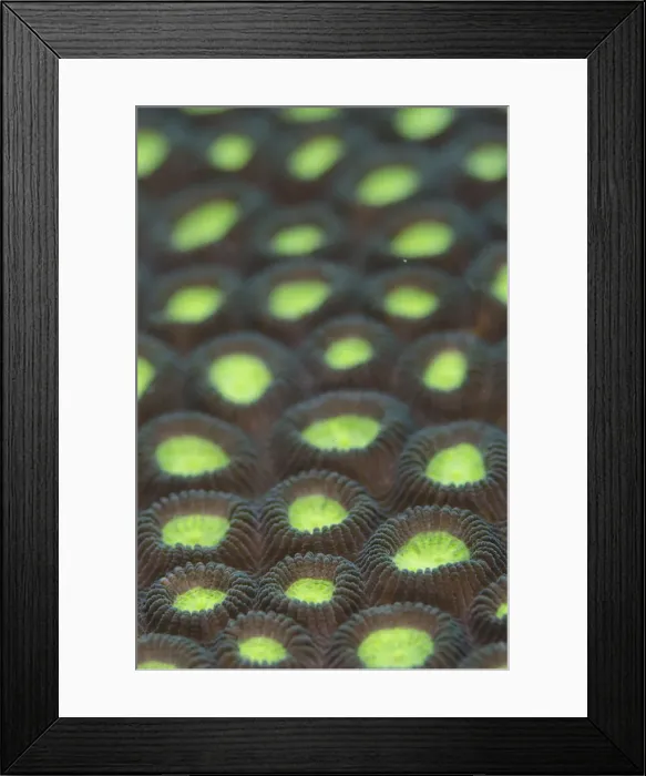 Framed Print : Picture No. 12019809 Framed Print : Picture No. 12019809