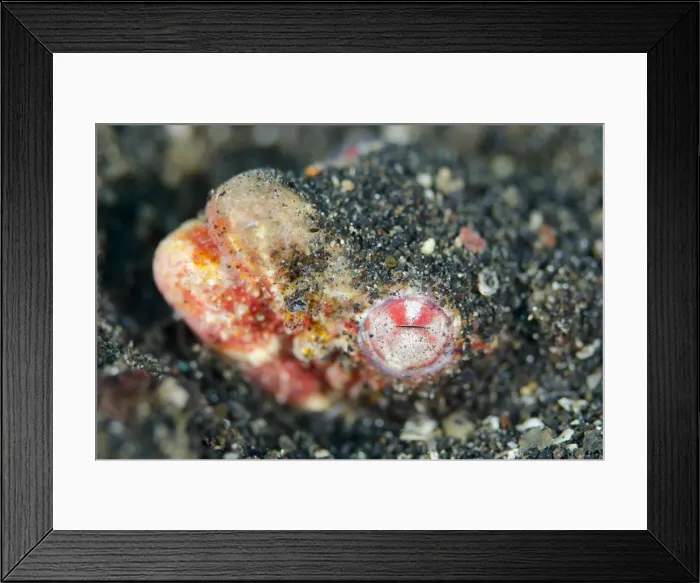 Framed Print : Picture No. 12019810 Framed Print : Picture No. 12019810