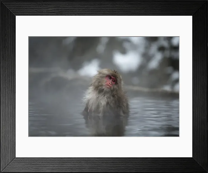 Framed Print : Picture No. 12019812 Framed Print : Picture No. 12019812