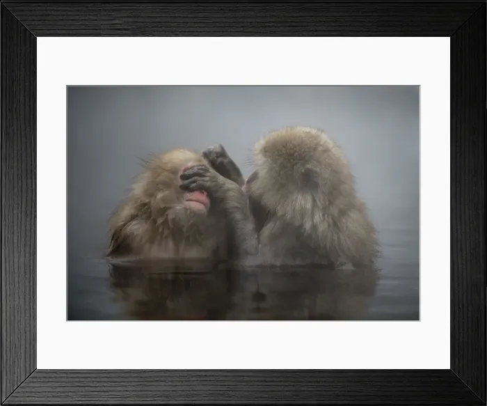Framed Print : Picture No. 12019813 Framed Print : Picture No. 12019813