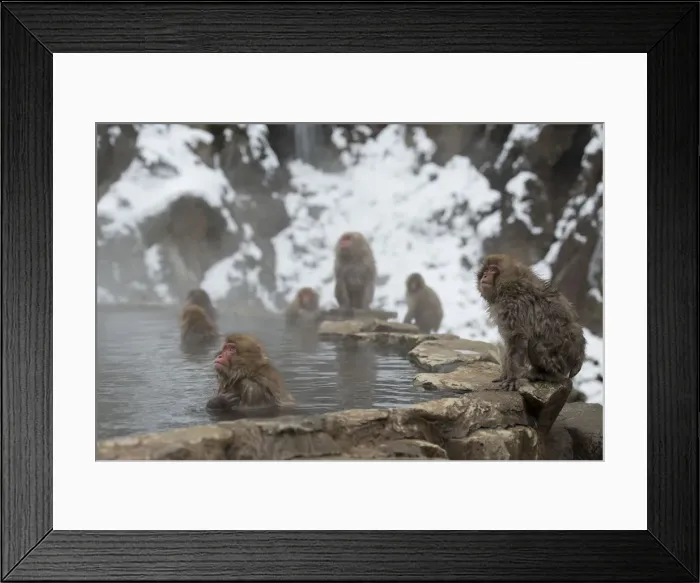 Framed Print : Picture No. 12019814 Framed Print : Picture No. 12019814