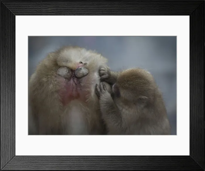 Framed Print : Picture No. 12019815 Framed Print : Picture No. 12019815