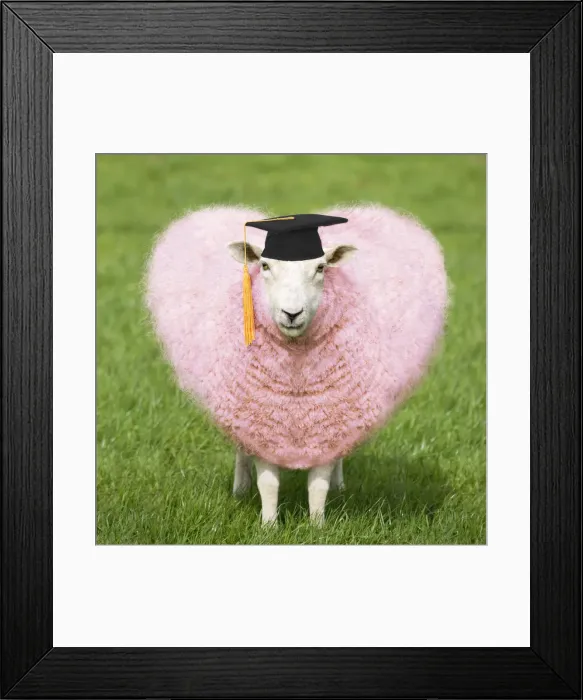 Framed Print : Picture No. 12020773 Framed Print : Picture No. 12020773