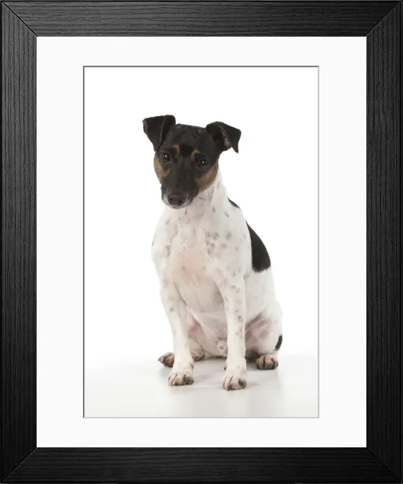 Framed Print : Picture No. 12019604 Framed Print : Picture No. 12019604